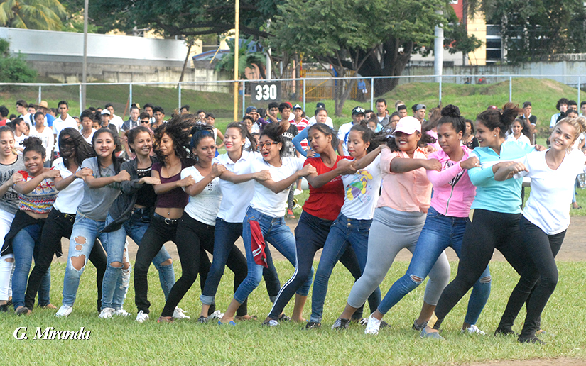 bandas